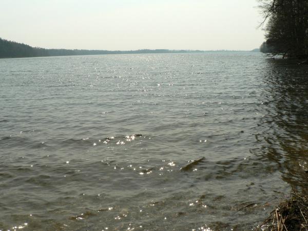 Agroturustyka